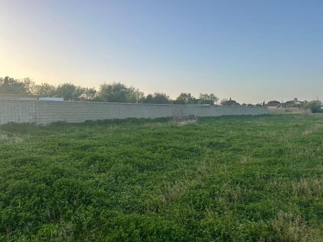 Bauplatz zu verkaufen in Pago del Humo, Chiclana de la Frontera - 27.000 € (Ref: 9666456)