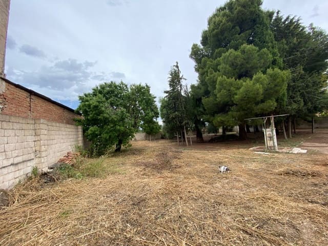 Terreno para Construção para venda em Hellín - 39 000 € (Ref: 9960219)