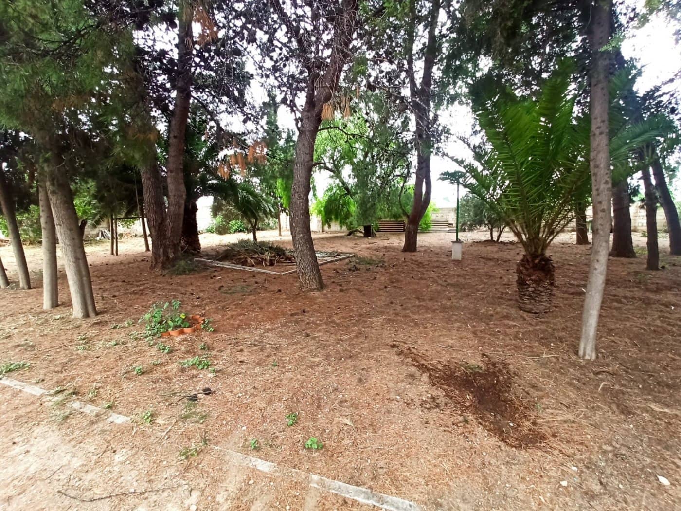 Area Edificabile in vendita in Hellin - 39.000 € (Rif: 9960219)