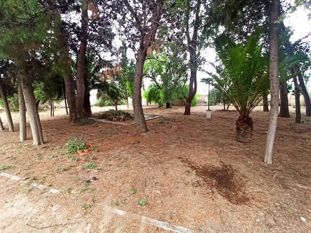 Terreno para Construção para venda em Hellín - 39 000 € (Ref: 9960219)