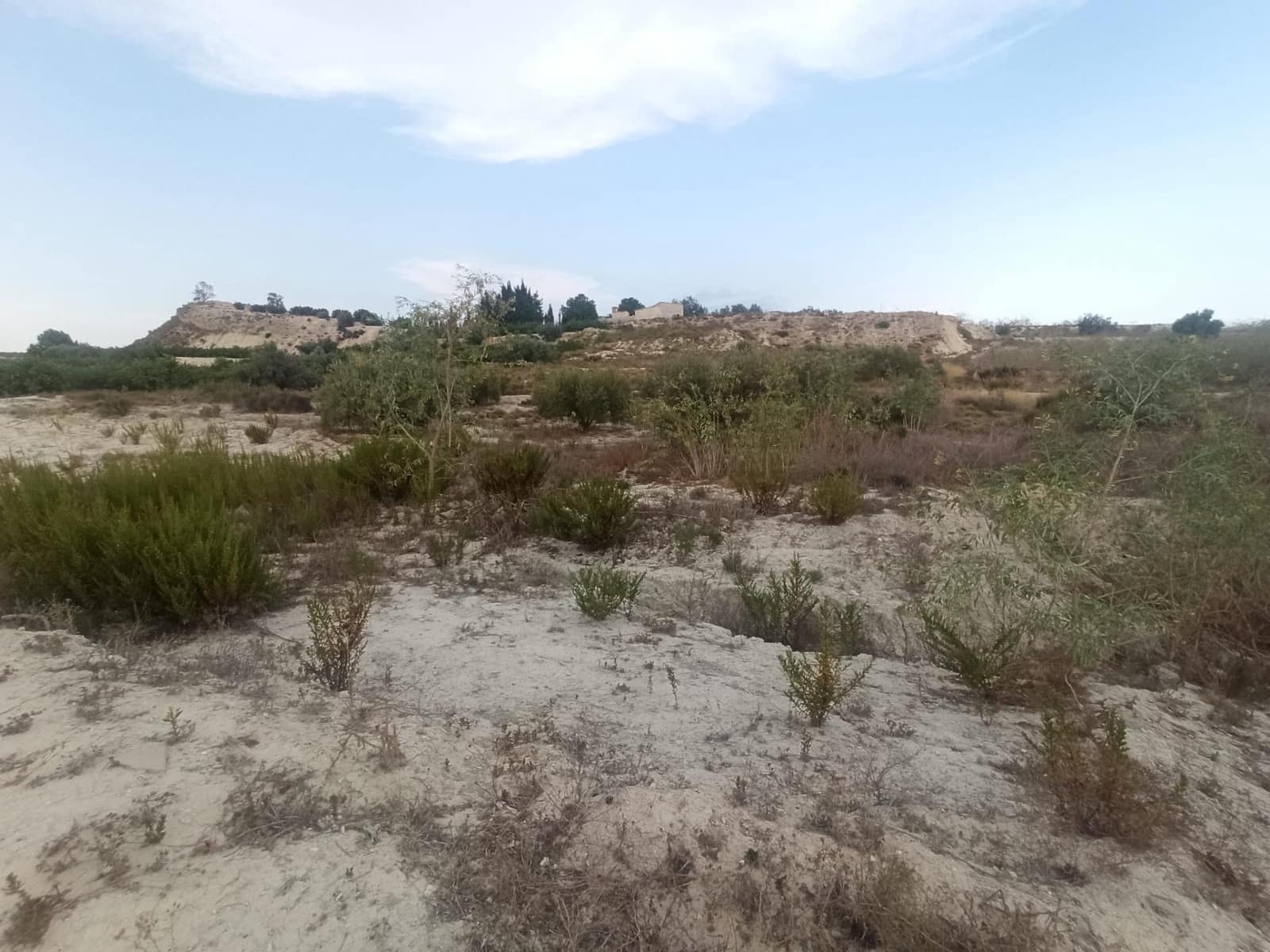 Finca/Country House for sale in Alguazas - € 27,000 (Ref: 9960223)