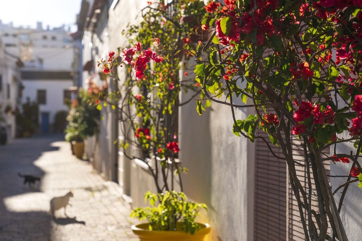 3 soveværelse Byhus til salg i Estepona - € 850.000 (Ref: 7373866)