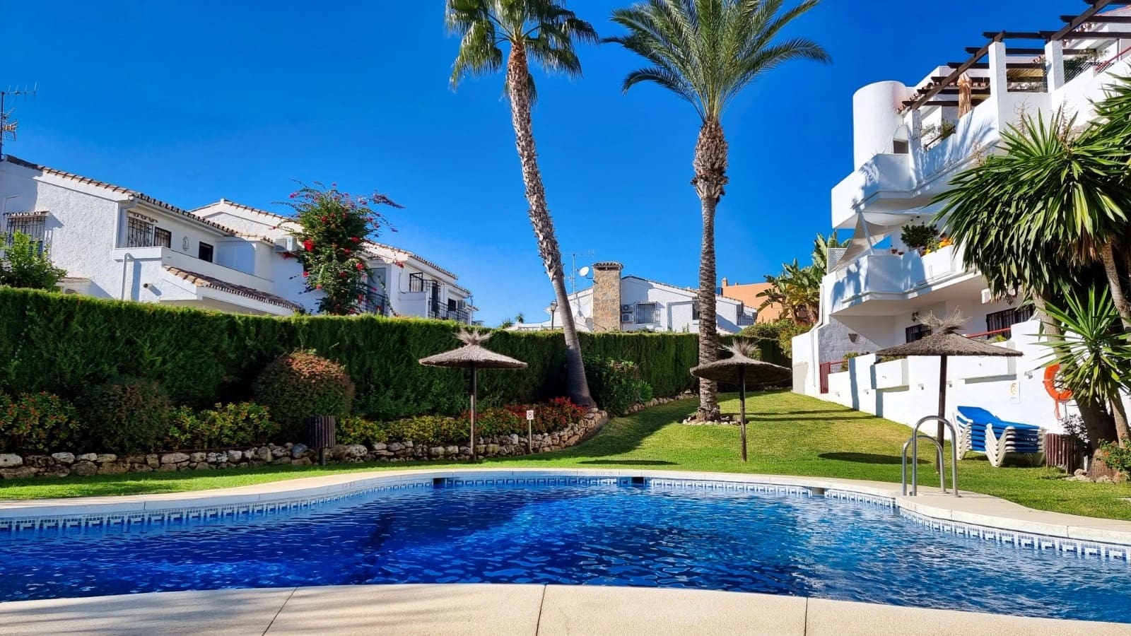 2 Zimmer Apartment zu vermieten in Bel-Air mit Pool - 2.200 € (Ref: 9683400)