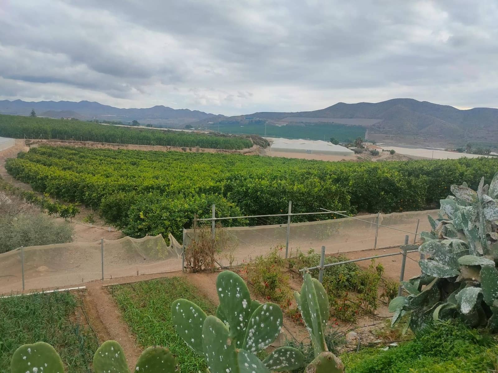 3 soveværelse Villa til salg i Aguilas med swimmingpool - € 420.000 (Ref: 9713285)