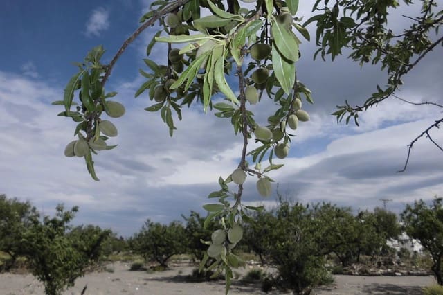 Solar/Parcela en Puerto Lumbreras en venta - 85.000 € (Ref: 9713300)