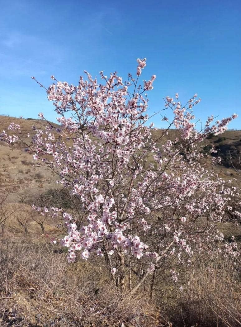 Terre non Aménagée à vendre à Puerto Lumbreras - 240 000 € (Ref: 9713303)