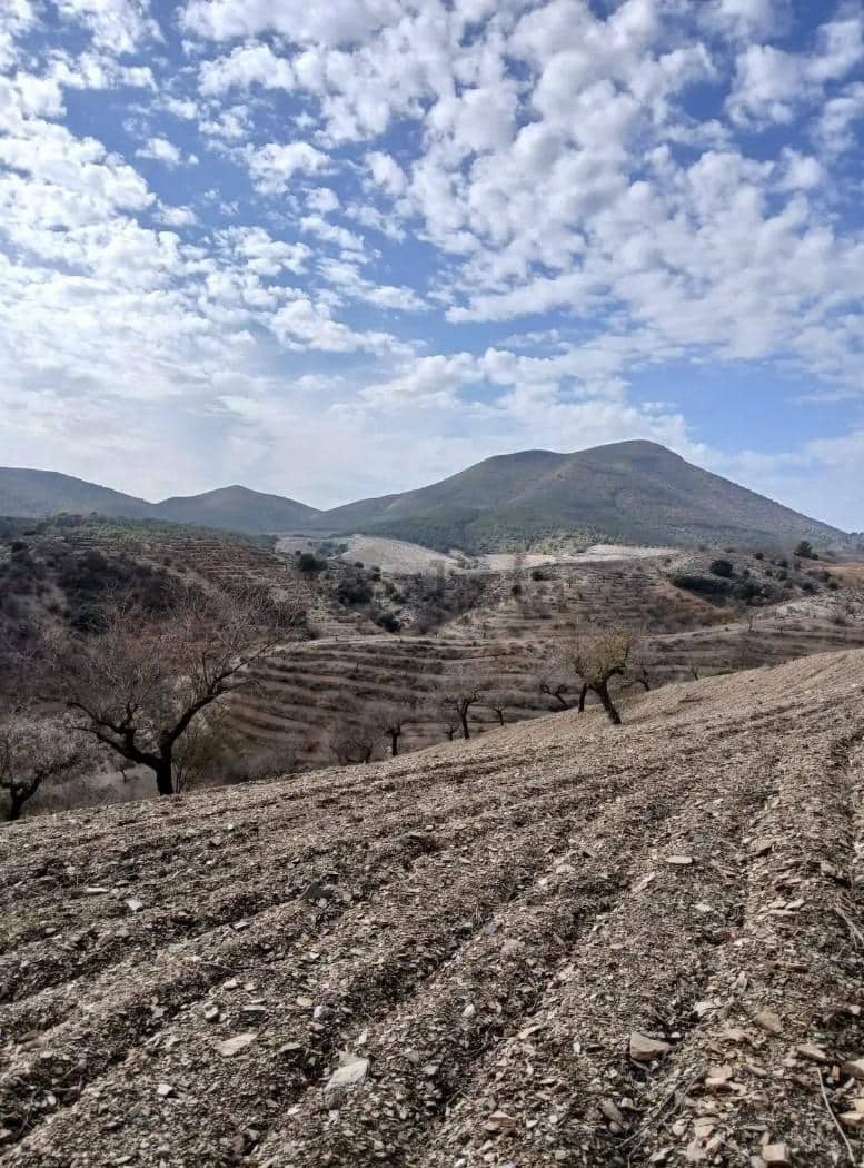 Terre non Aménagée à vendre à Puerto Lumbreras - 240 000 € (Ref: 9713303)