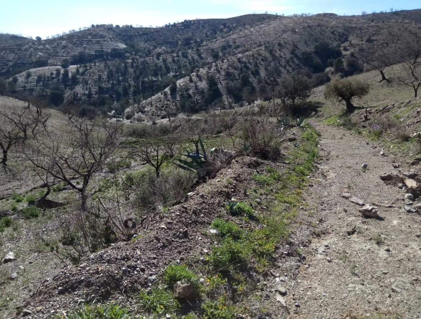 Terre non Aménagée à vendre à Puerto Lumbreras - 240 000 € (Ref: 9713303)