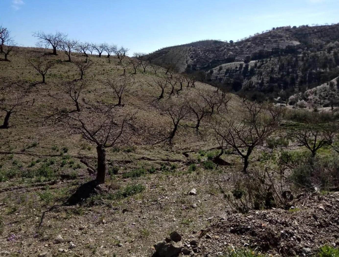 Terre non Aménagée à vendre à Puerto Lumbreras - 240 000 € (Ref: 9713303)