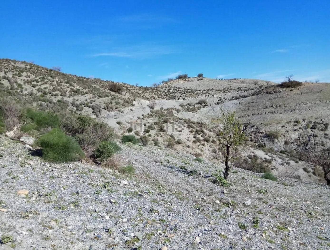 Terre non Aménagée à vendre à Puerto Lumbreras - 240 000 € (Ref: 9713303)