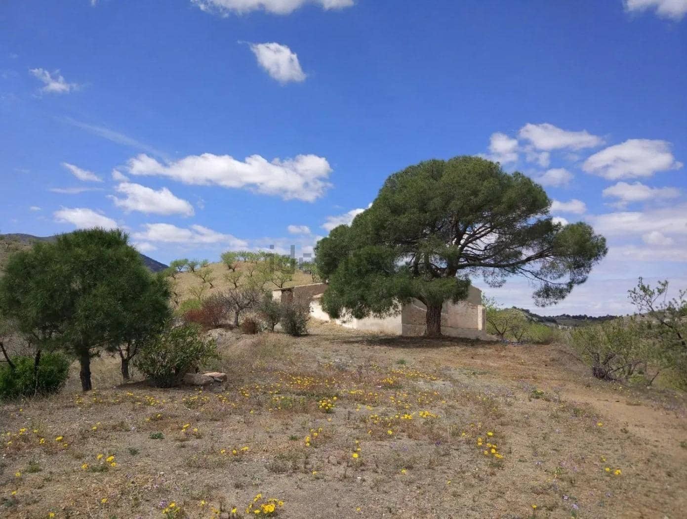 Terre non Aménagée à vendre à Puerto Lumbreras - 240 000 € (Ref: 9713303)