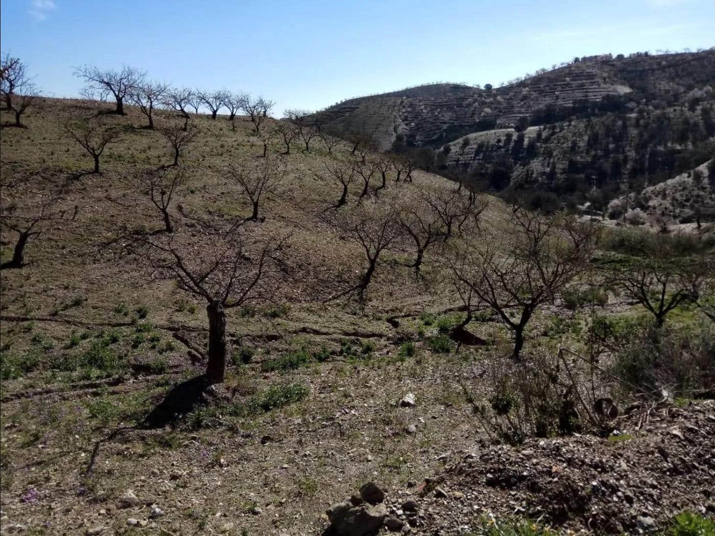 Terre non Aménagée à vendre à Puerto Lumbreras - 240 000 € (Ref: 9713303)