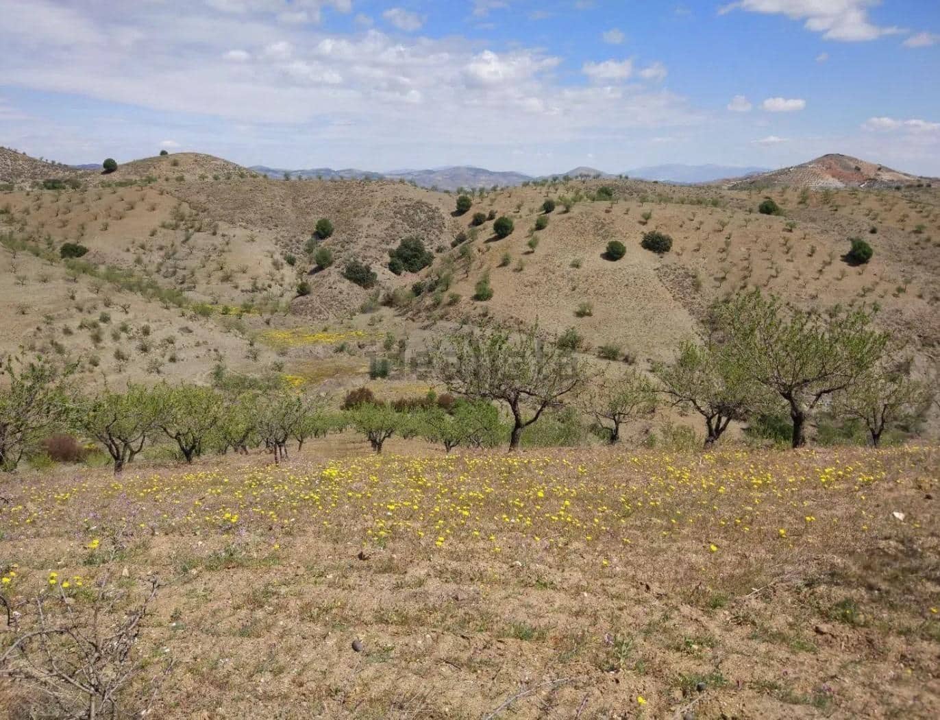 Terre non Aménagée à vendre à Puerto Lumbreras - 240 000 € (Ref: 9713303)