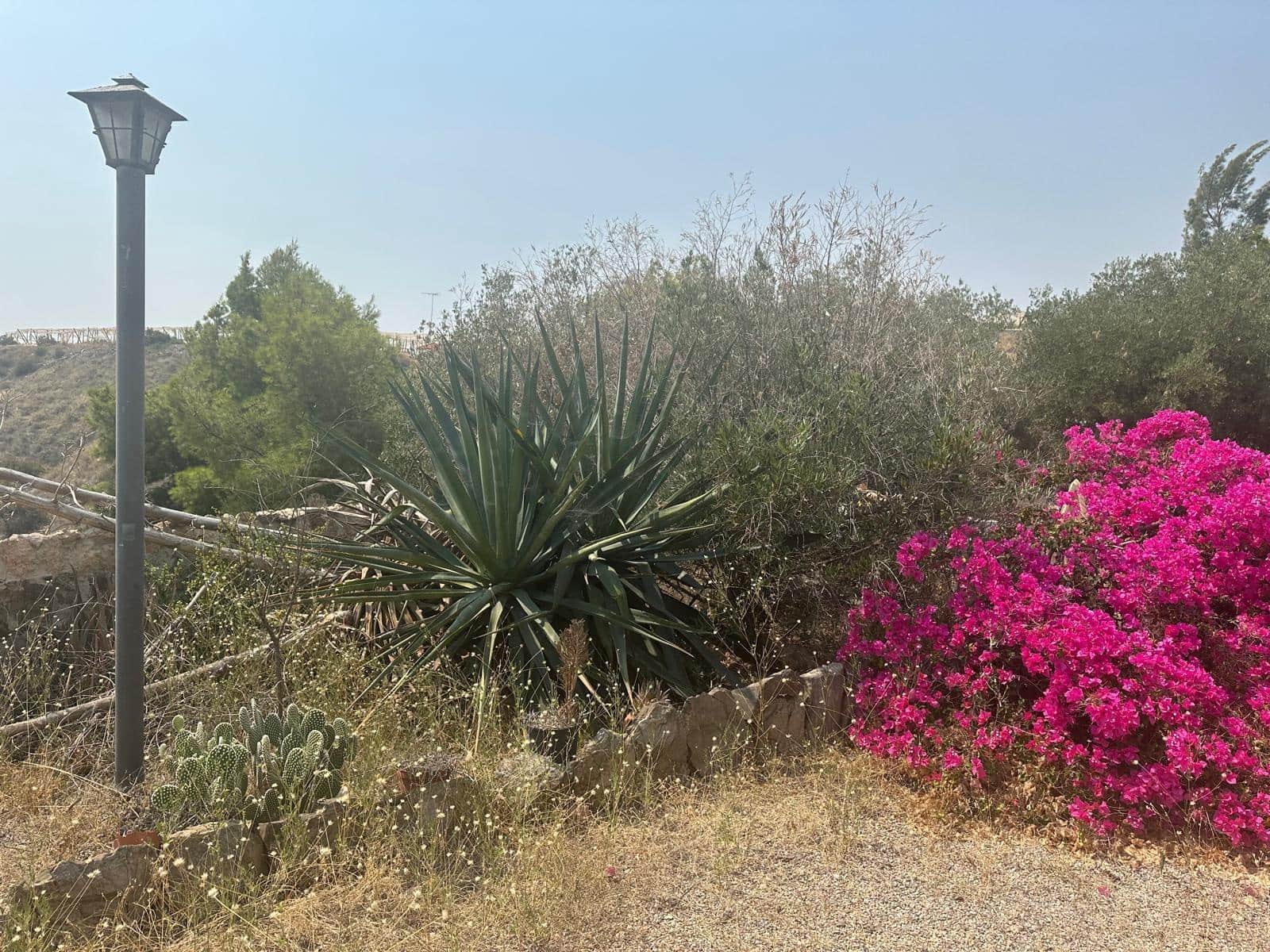 Terre non Aménagée à vendre à Aguilas - 250 000 € (Ref: 9713329)