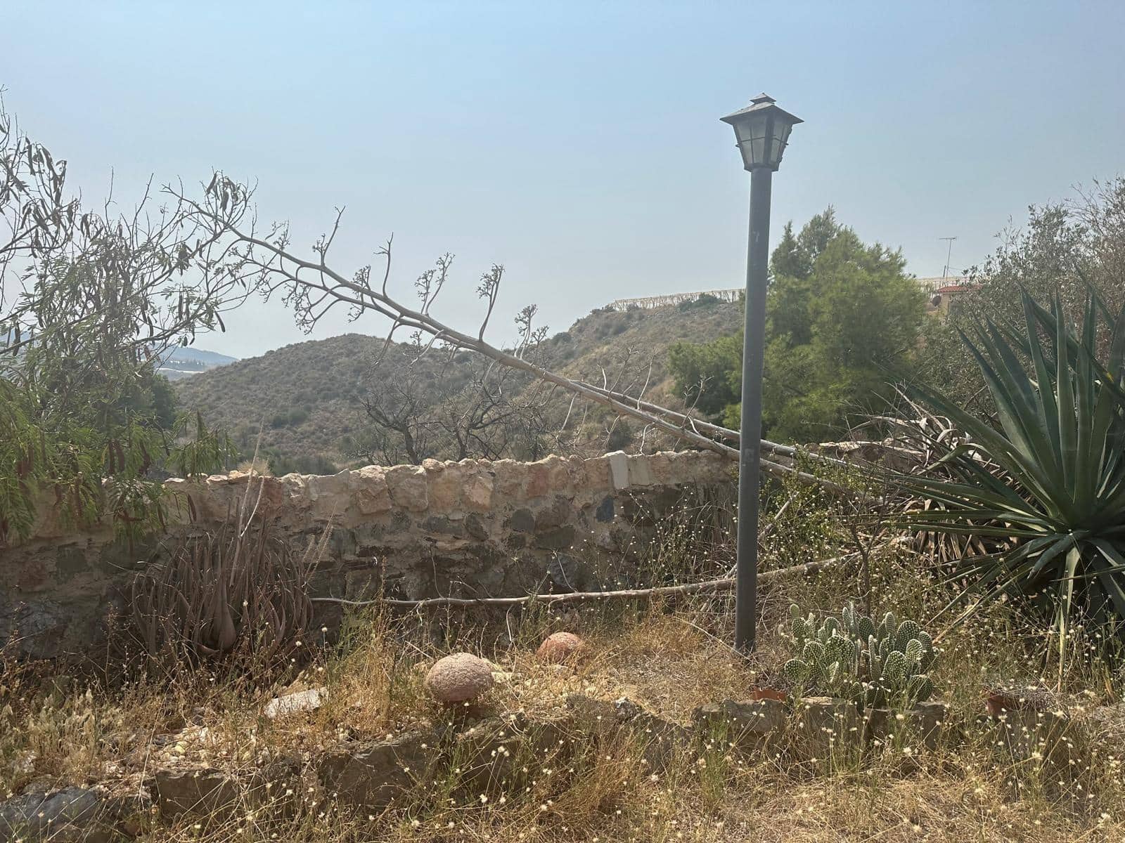 Terre non Aménagée à vendre à Aguilas - 250 000 € (Ref: 9713329)