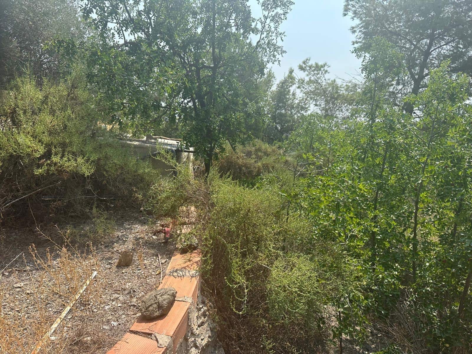 Terre non Aménagée à vendre à Aguilas - 250 000 € (Ref: 9713329)