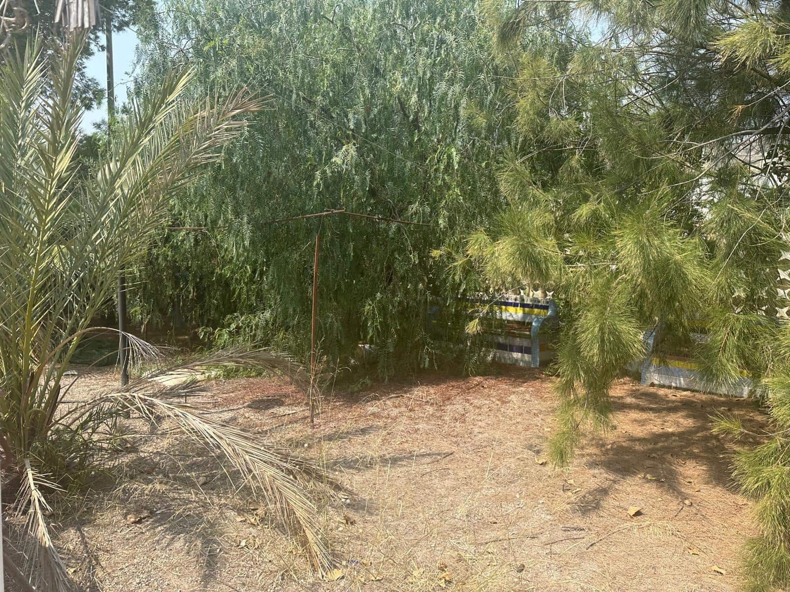 Terre non Aménagée à vendre à Aguilas - 250 000 € (Ref: 9713329)