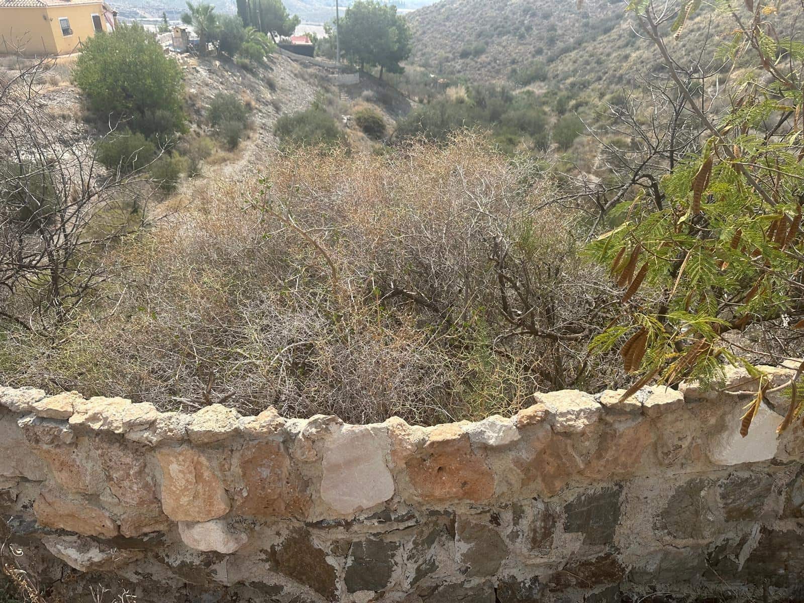 Terre non Aménagée à vendre à Aguilas - 250 000 € (Ref: 9713329)