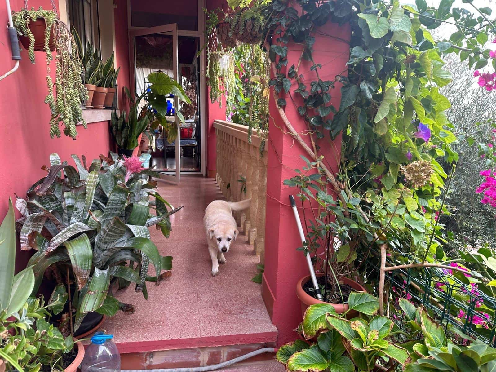 3 bedroom Villa for sale in Aguilas with garage - € 340,000 (Ref: 9713331)