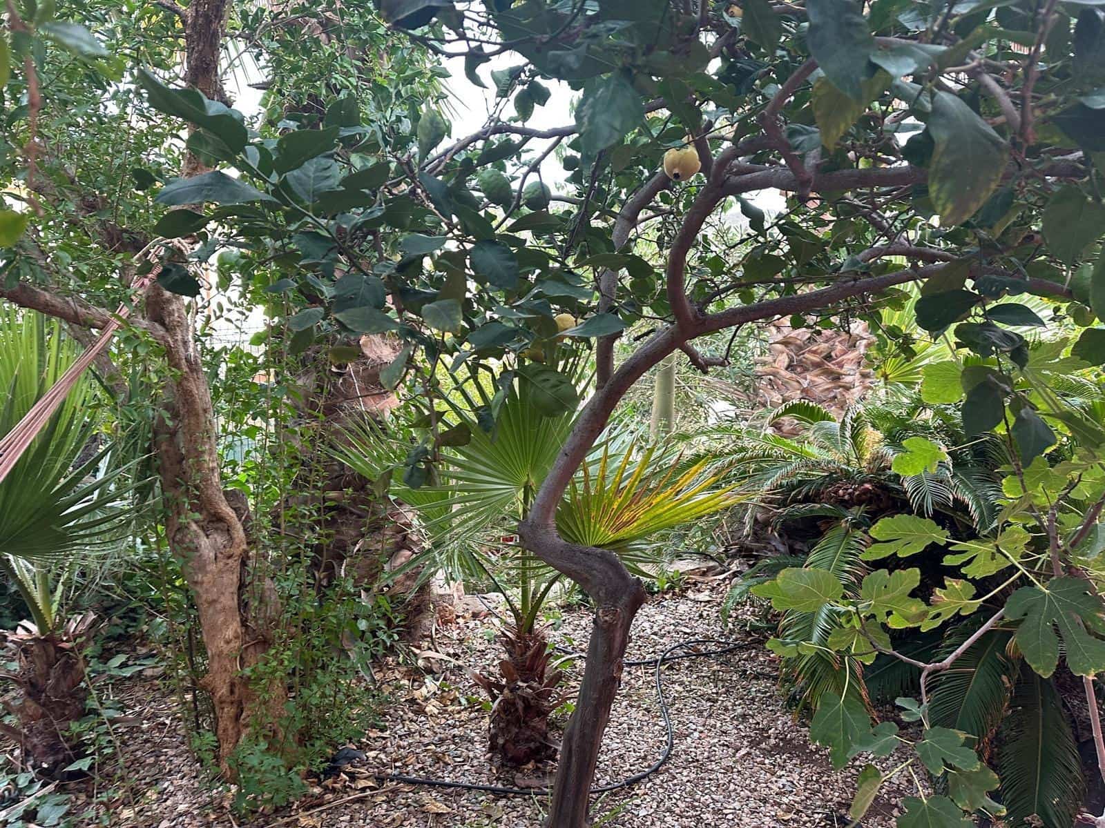 3 bedroom Villa for sale in Aguilas with garage - € 340,000 (Ref: 9713331)