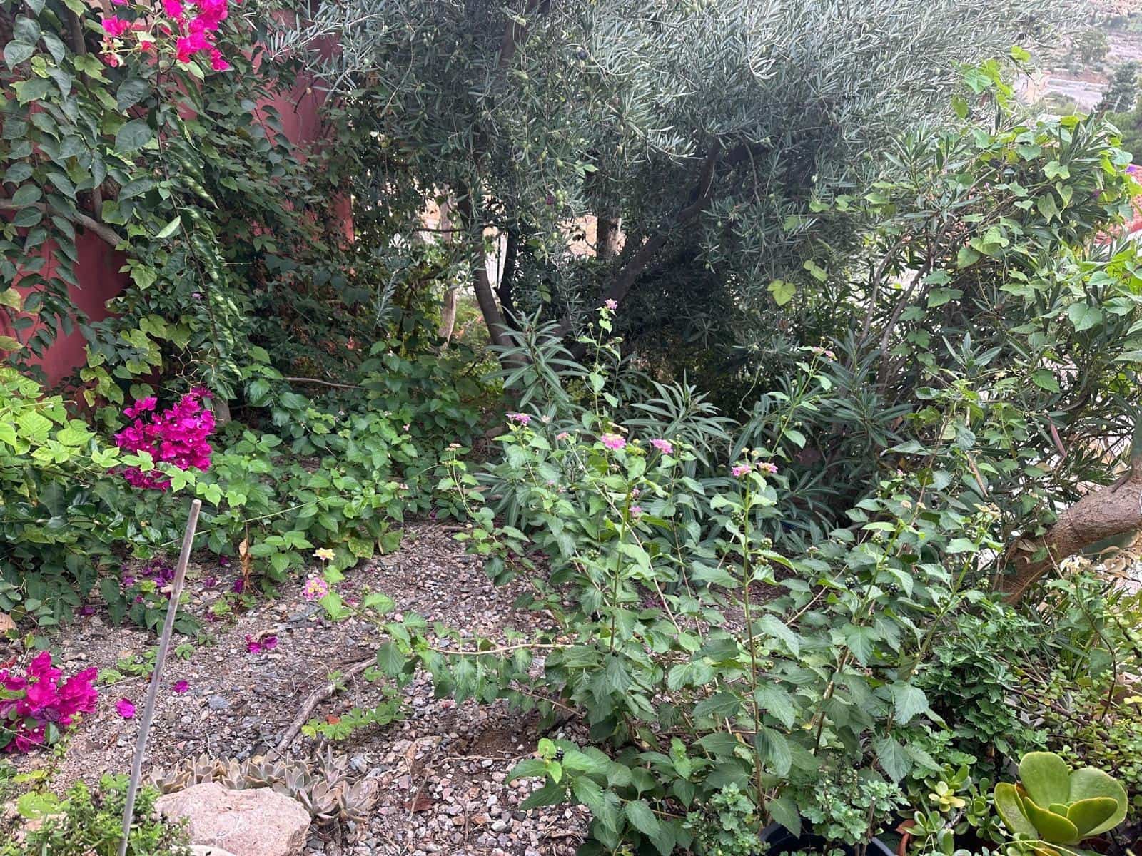 3 bedroom Villa for sale in Aguilas with garage - € 340,000 (Ref: 9713331)