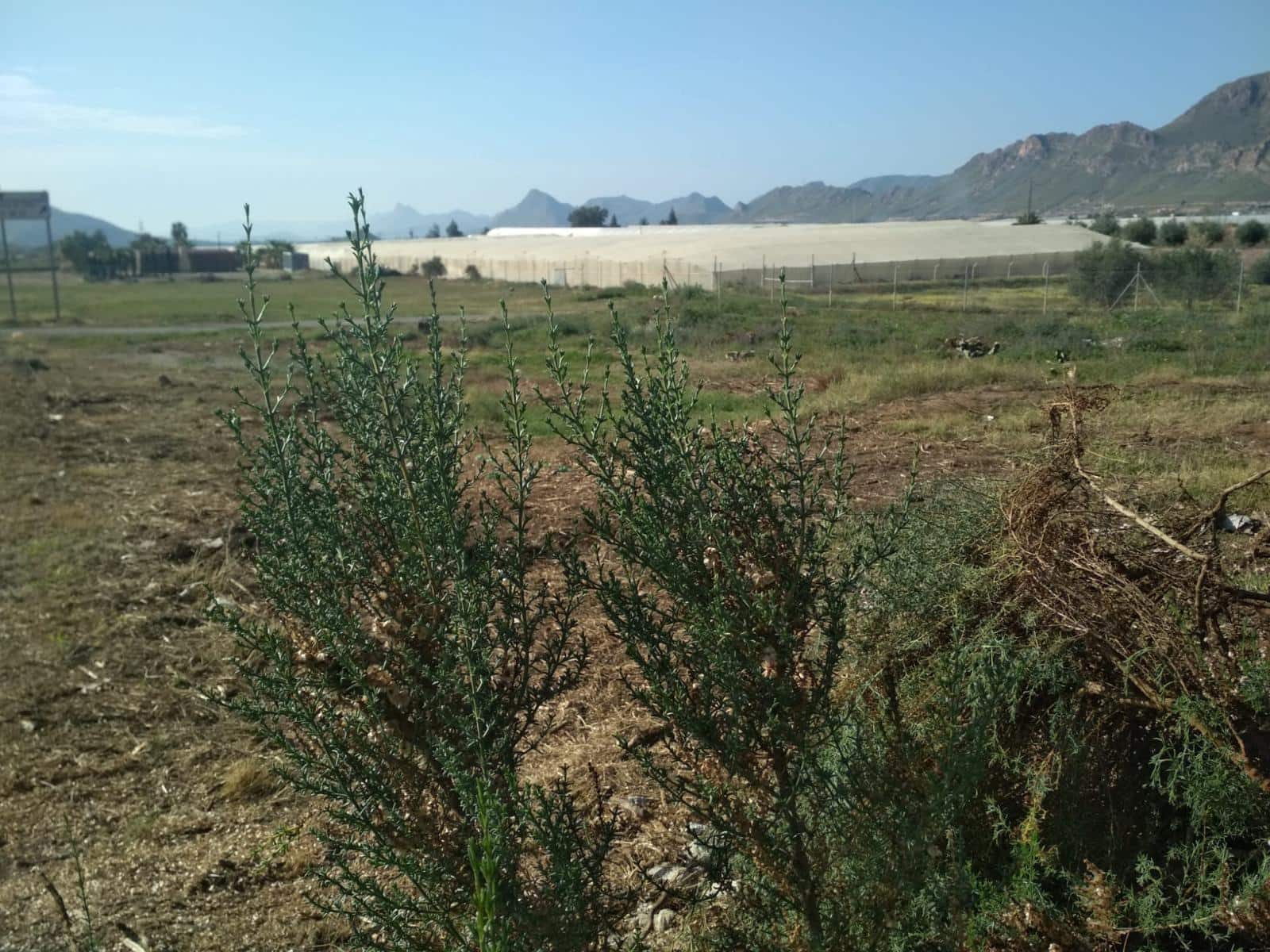 Undeveloped Land for sale in Aguilas - € 45,000 (Ref: 9713332)
