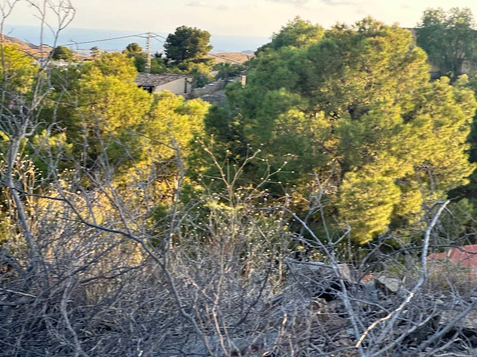 Building Plot for sale in Venta del Moro - € 50,000 (Ref: 9713333)