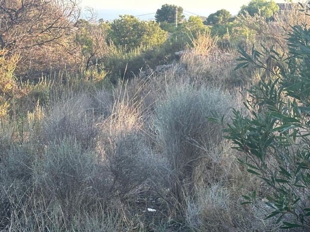 Building Plot for sale in Venta del Moro - € 50,000 (Ref: 9713333)