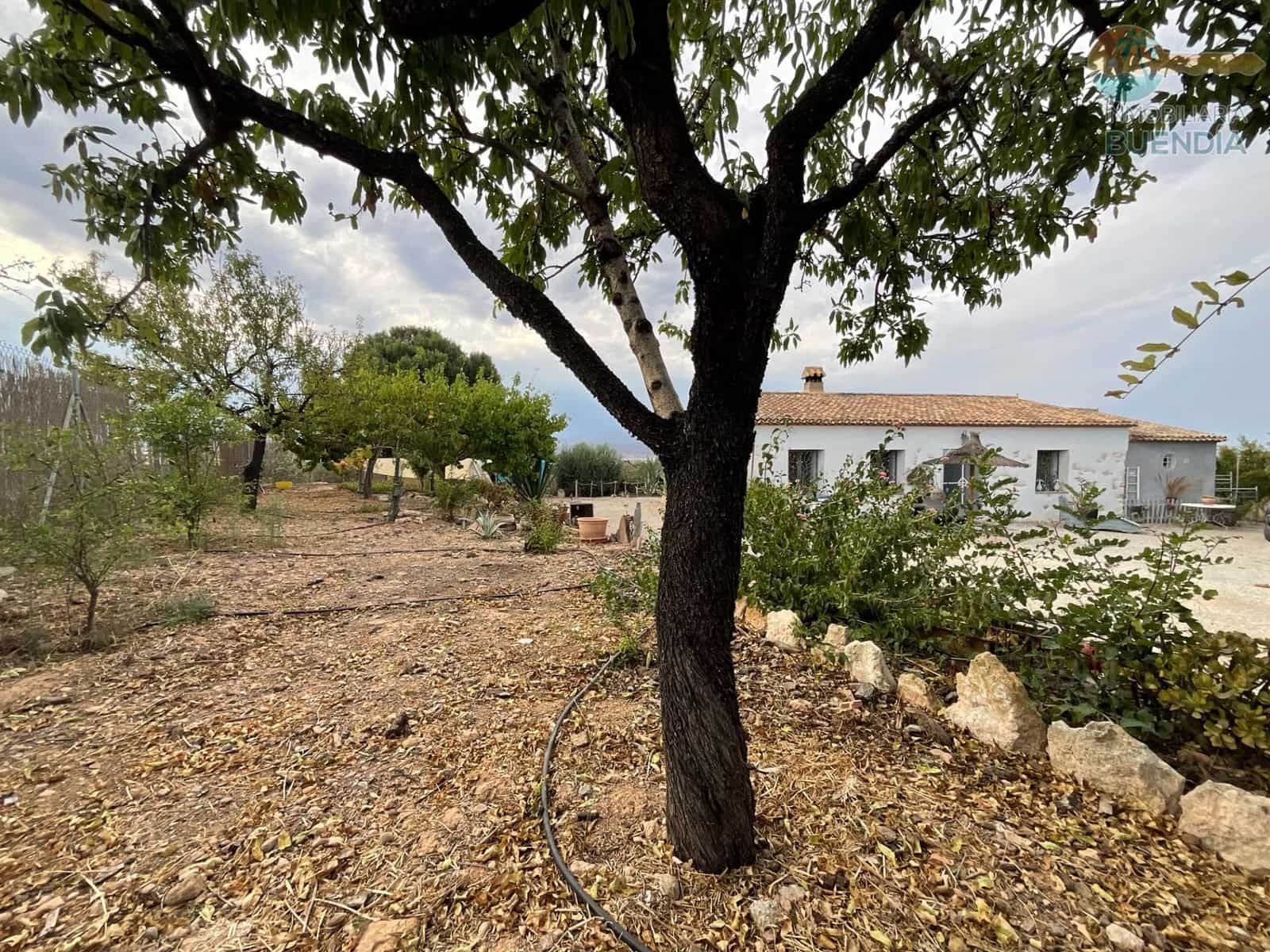 Finca/Casa Rural de 4 habitaciones en Totana en venta con piscina - 365.000 € (Ref: 10098530)