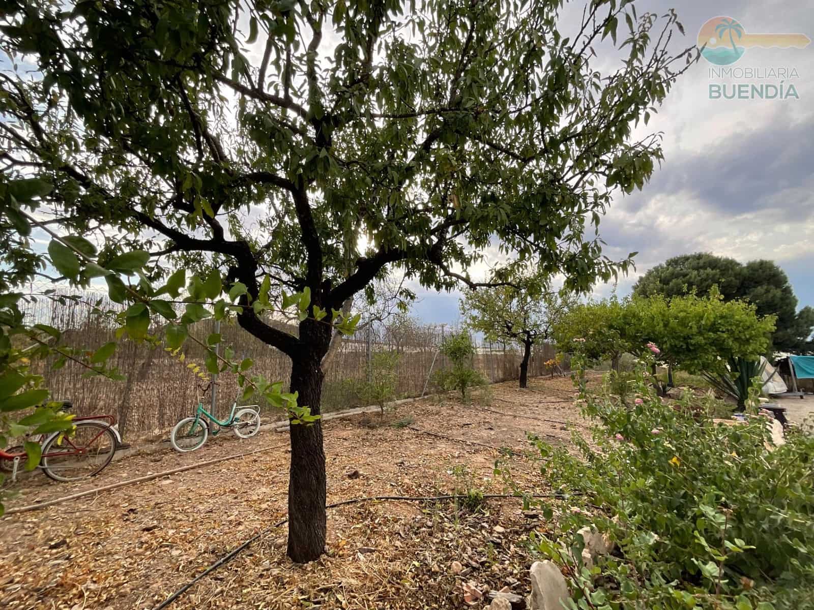 Finca/Casa Rural de 4 habitaciones en Totana en venta con piscina - 365.000 € (Ref: 10098530)