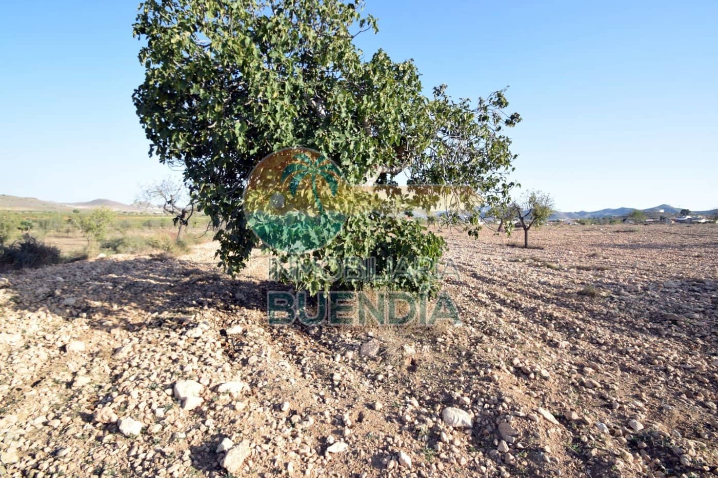 Rakentamaton maa myytävänä paikassa Las Palas - 57 000 € (Ref: 6860407)