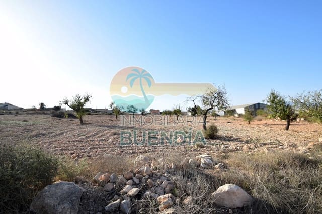 Grond te koop in Las Palas, Fuente Alamo de Murcia - € 57.000 (Ref: 6860407)