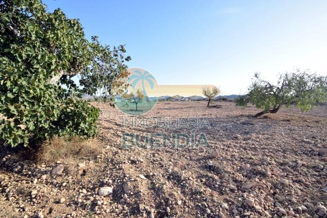 Grond te koop in Las Palas, Fuente Alamo de Murcia - € 57.000 (Ref: 6860407)