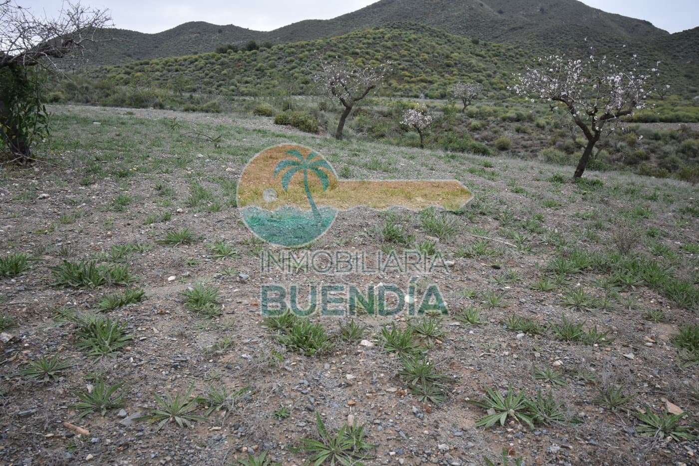 Undeveloped Land for sale in Cartagena - € 114,900 (Ref: 6860419)