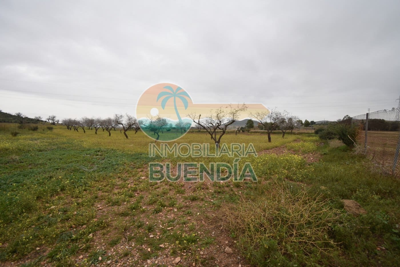 Terre non Aménagée à vendre à Tallante - 35 000 € (Ref: 6860420)