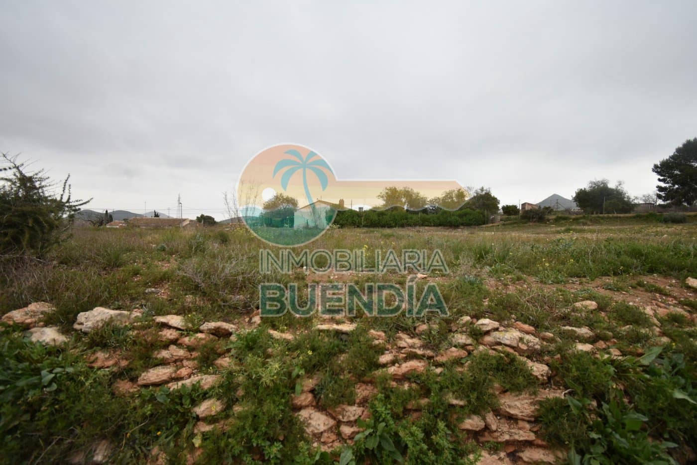 Terre non Aménagée à vendre à Tallante - 35 000 € (Ref: 6860420)