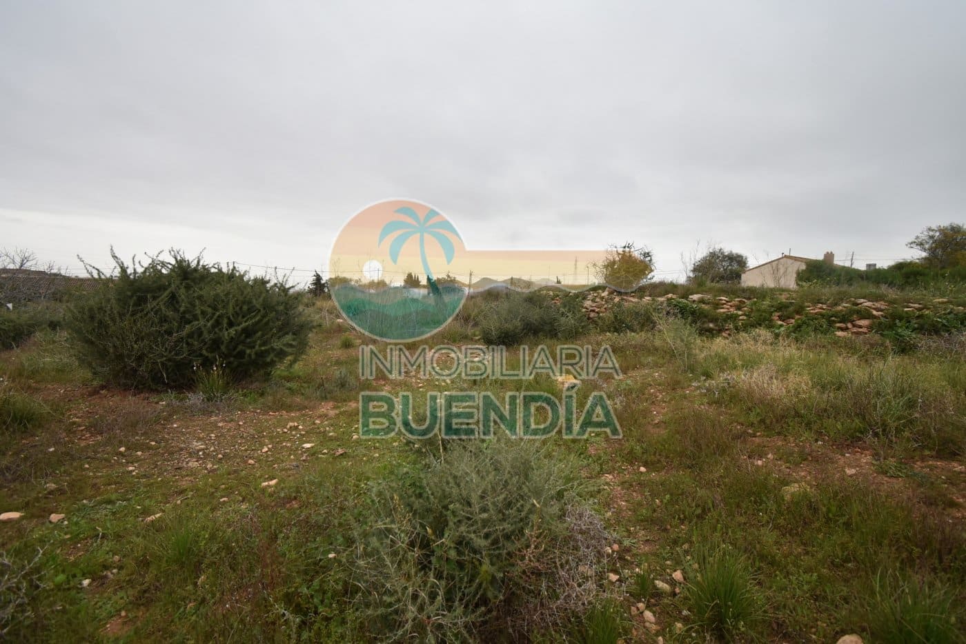 Terre non Aménagée à vendre à Tallante - 35 000 € (Ref: 6860420)