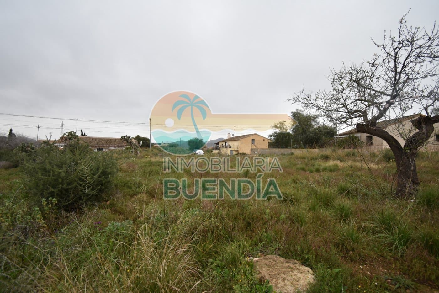 Terre non Aménagée à vendre à Tallante - 35 000 € (Ref: 6860420)