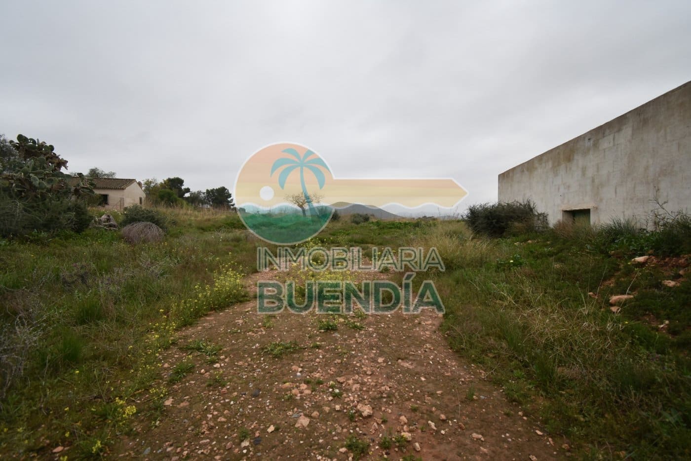 Terre non Aménagée à vendre à Tallante - 35 000 € (Ref: 6860420)