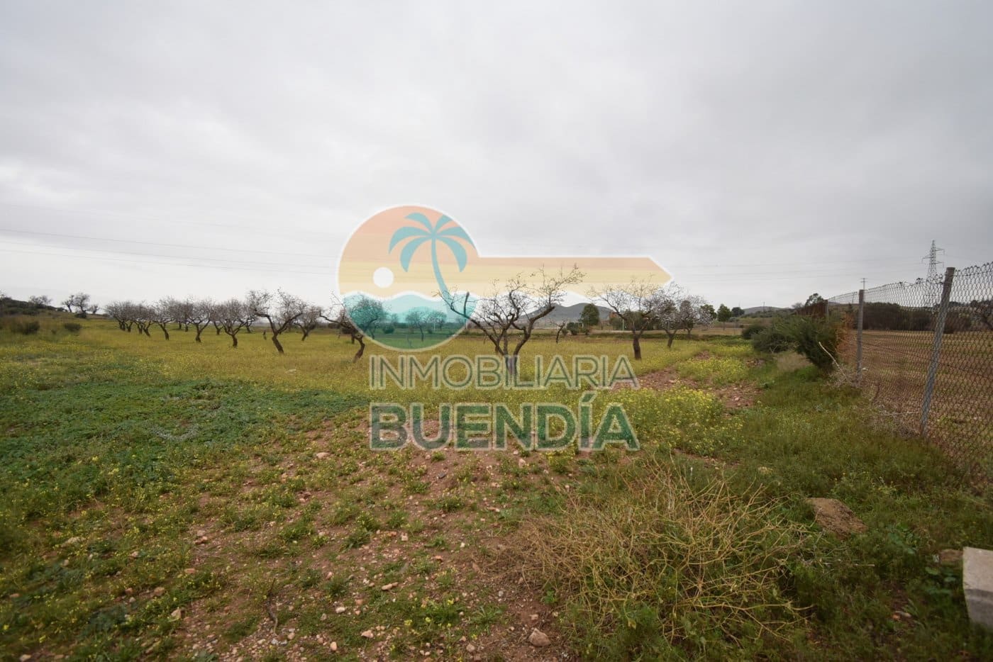 Terre non Aménagée à vendre à Tallante - 35 000 € (Ref: 6860420)