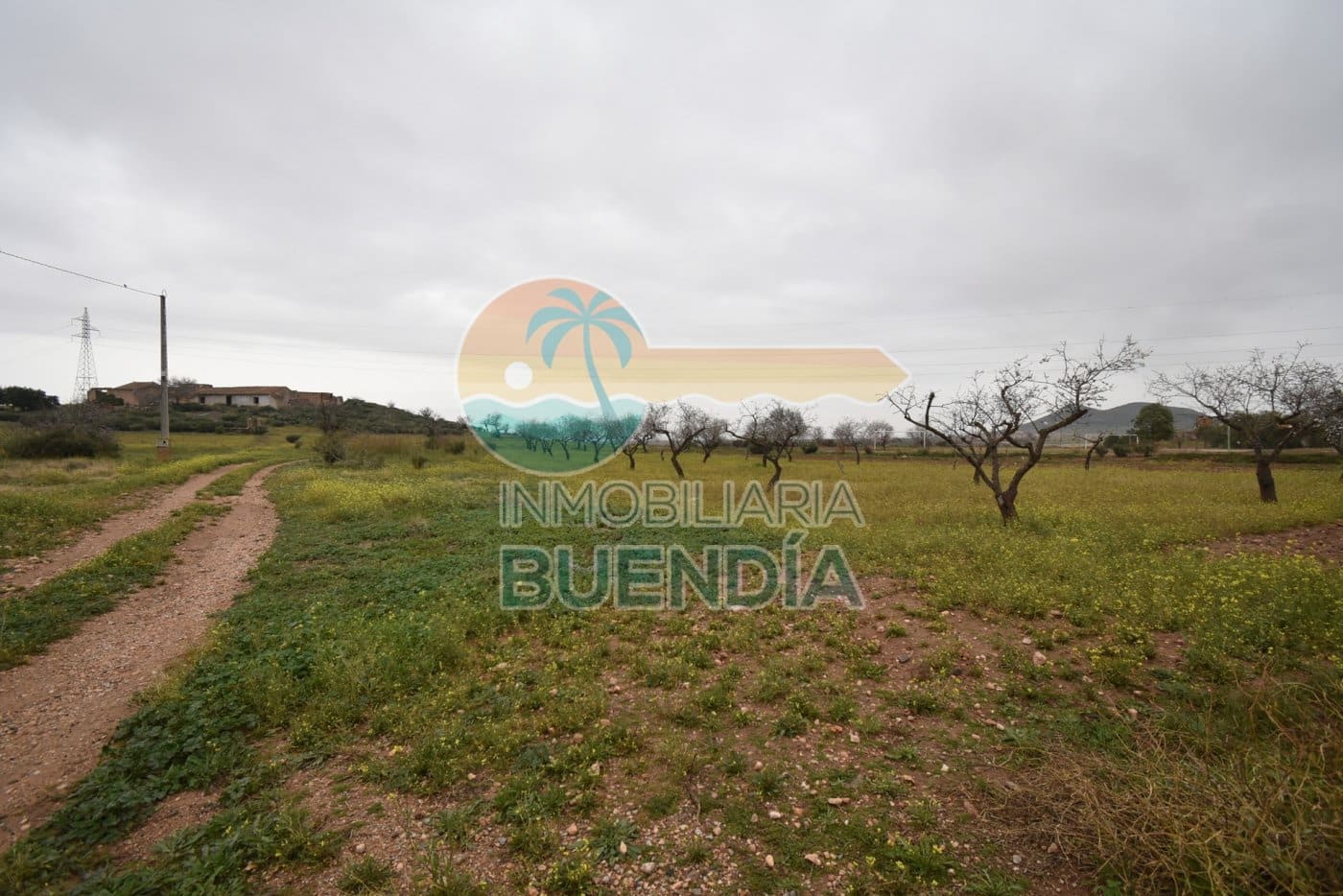 Terre non Aménagée à vendre à Tallante - 35 000 € (Ref: 6860420)