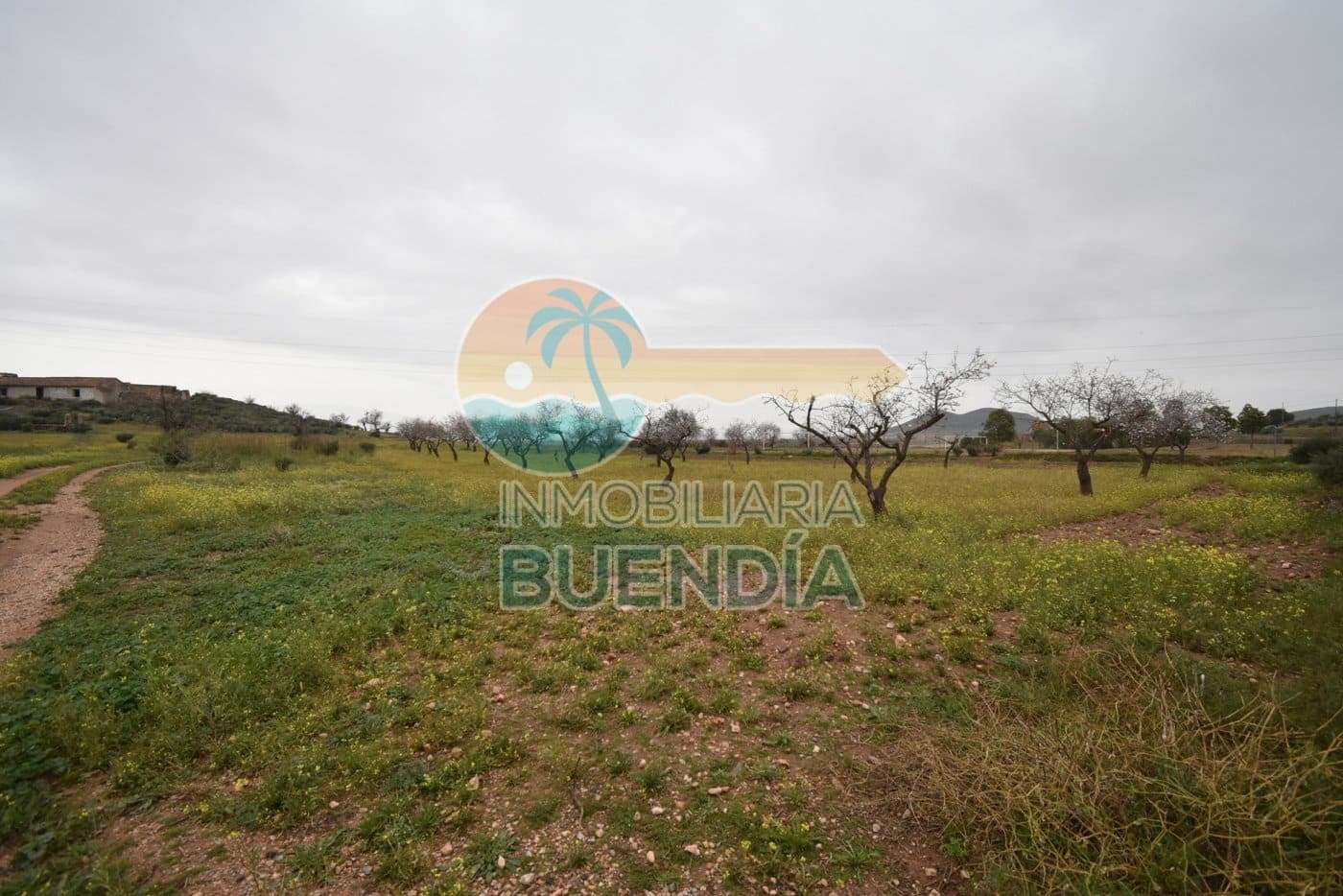 Terre non Aménagée à vendre à Tallante - 35 000 € (Ref: 6860420)