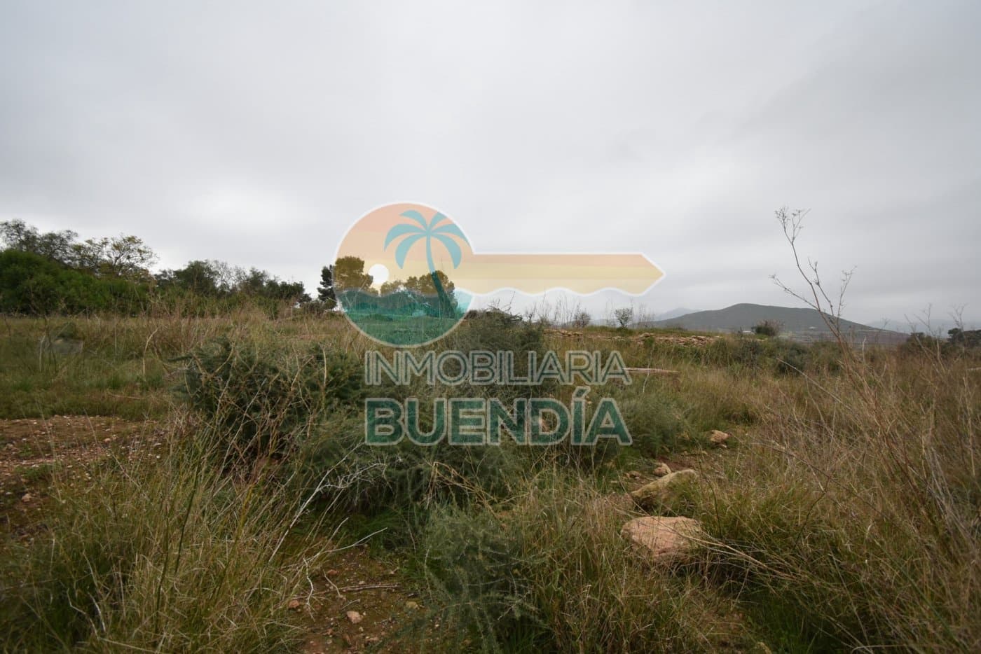 Terre non Aménagée à vendre à Tallante - 35 000 € (Ref: 6860420)