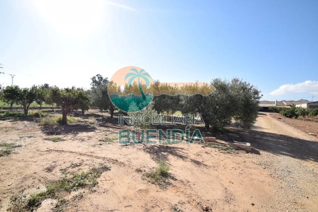 Undeveloped Land for sale in Las Palas, Fuente Alamo de Murcia - € 90,000 (Ref: 6929443)
