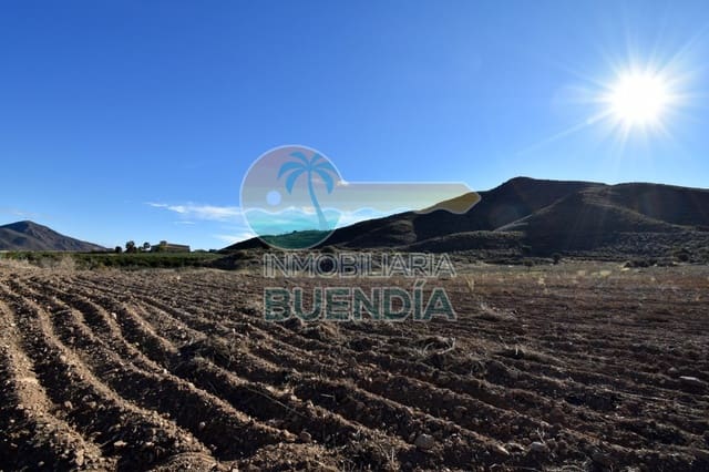 Teren niezagospodarowany na sprzedaż w Lorca - 55 000 € (Ref: 6929497)