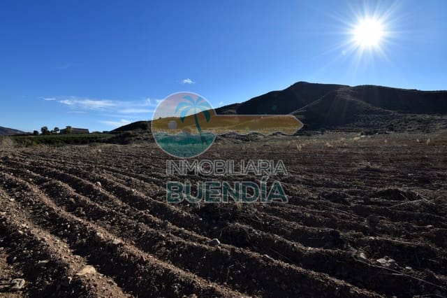 Teren niezagospodarowany na sprzedaż w Lorca - 55 000 € (Ref: 6929497)