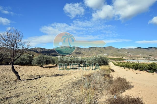 Teren niezagospodarowany na sprzedaż w Lorca - 55 000 € (Ref: 6929497)