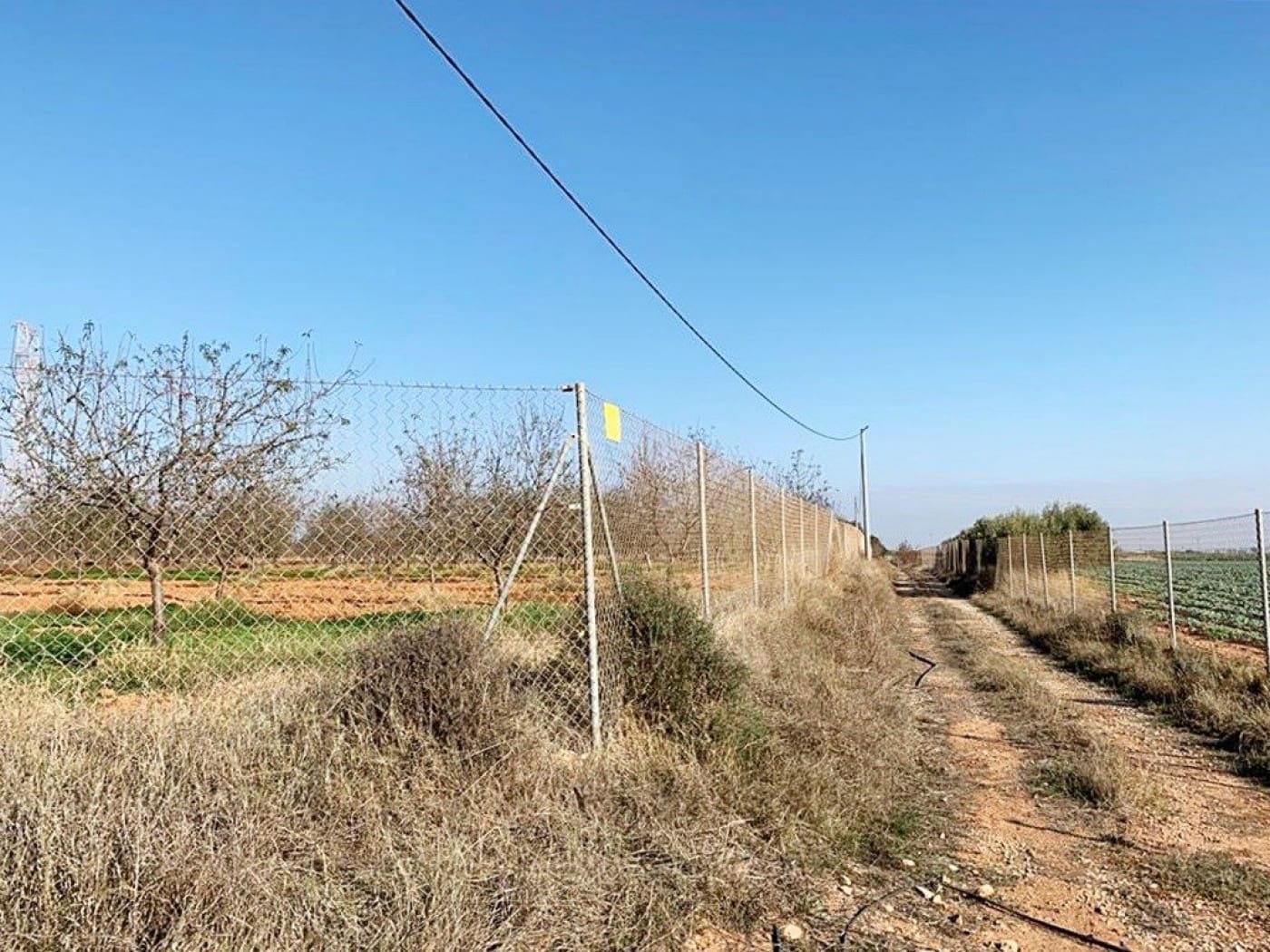 Mark till salu i La Magdalena - 31 000 € (Ref: 6929509)