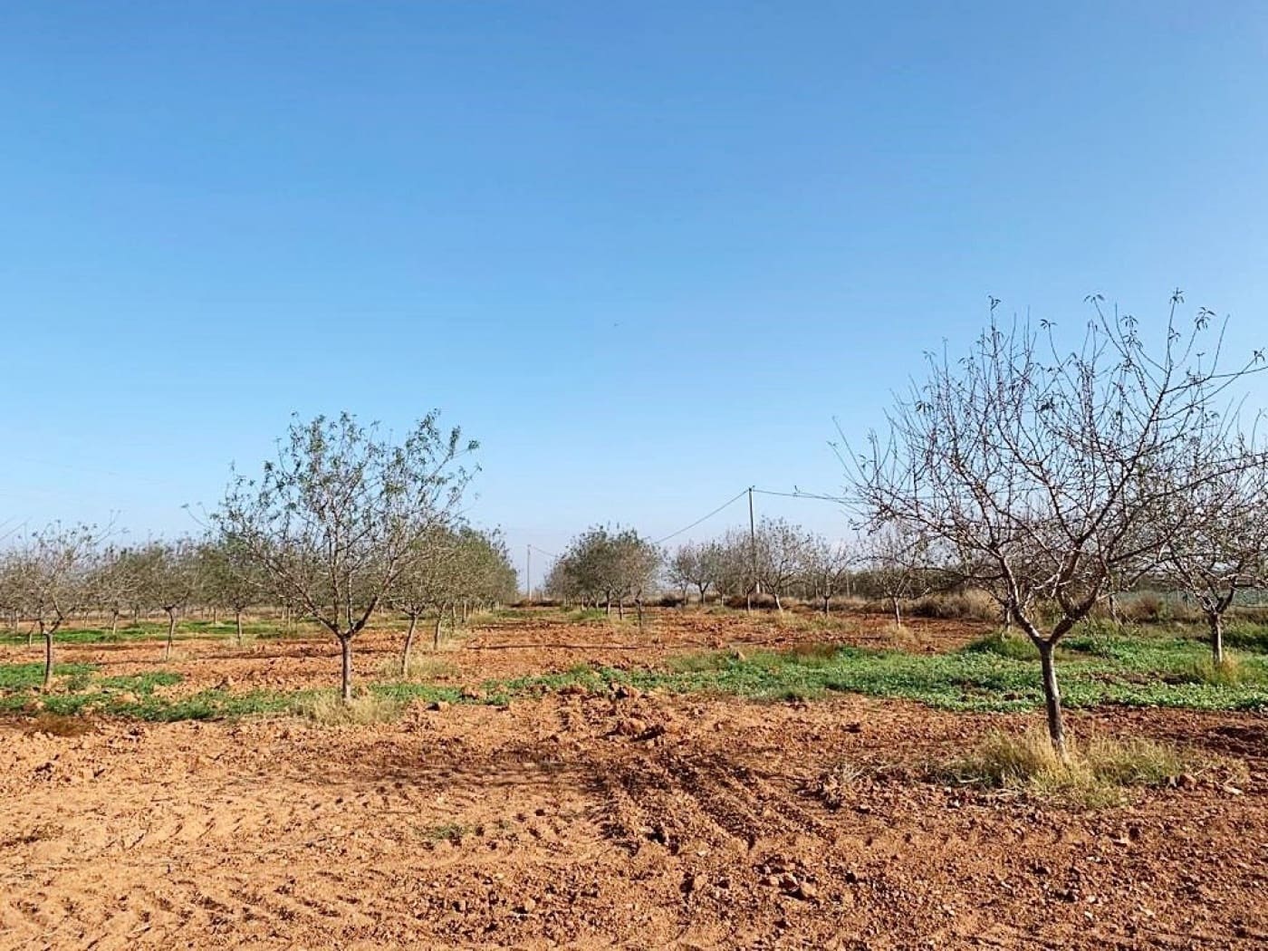 Mark till salu i La Magdalena - 31 000 € (Ref: 6929509)