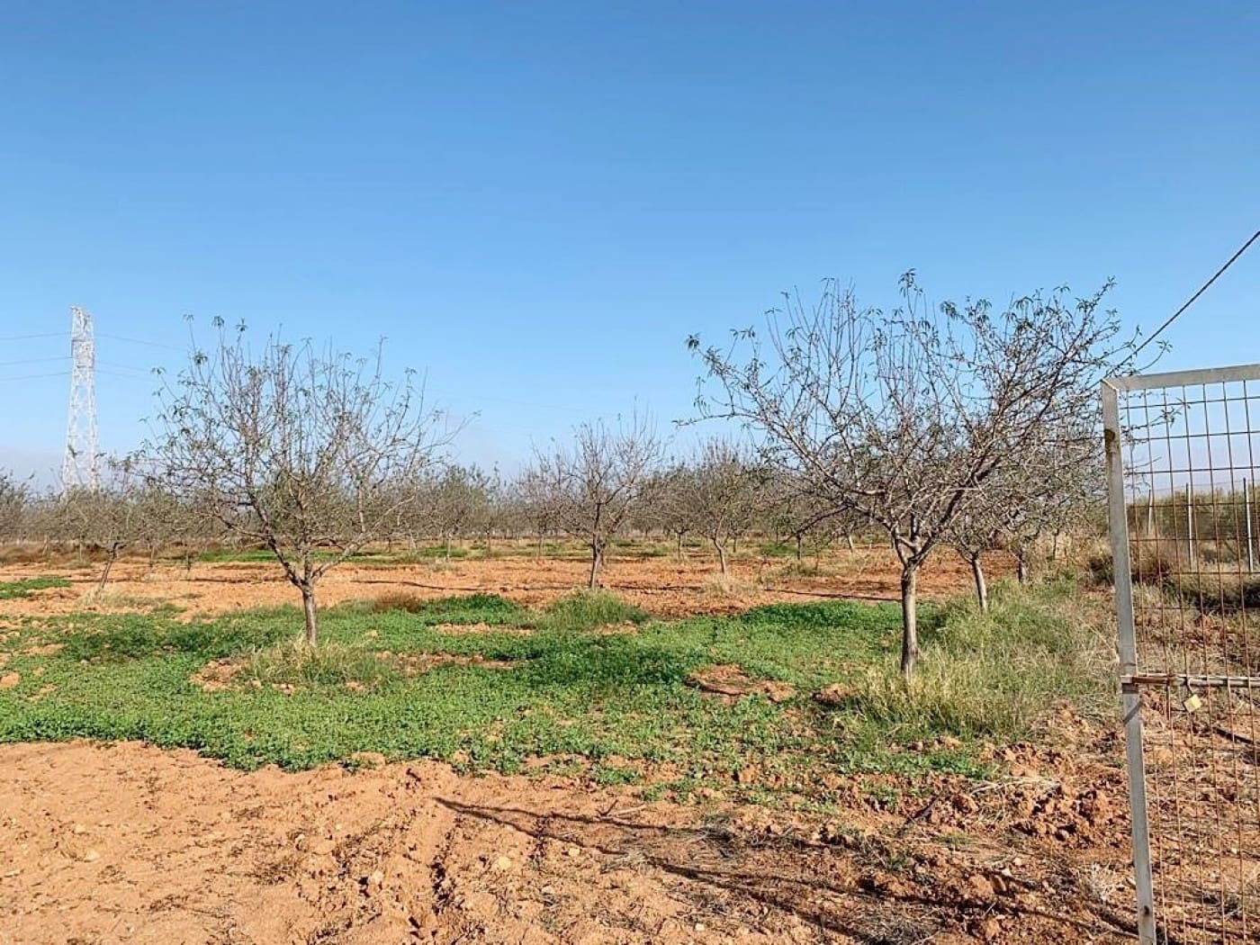 Mark till salu i La Magdalena - 31 000 € (Ref: 6929509)